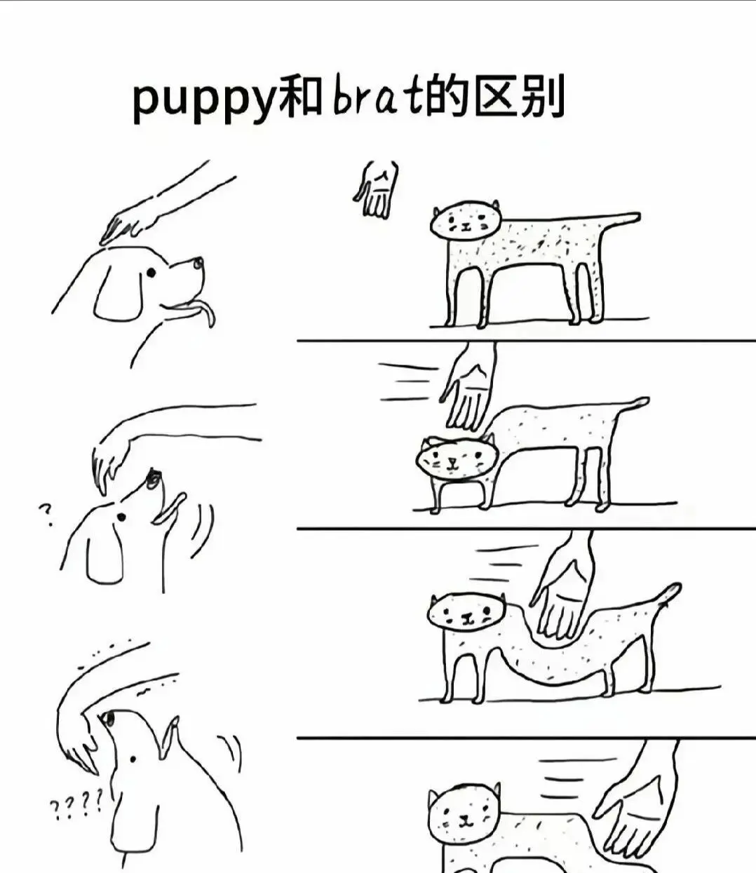 

西檬之家ds关系是什么？字母圈新人必读 一