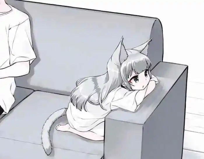 西檬之家斯慕圈入坑指南 一