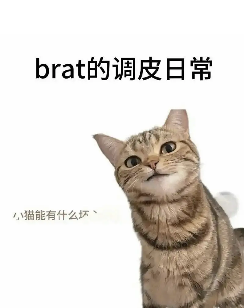 西檬之家sp小圈是什么？新手如何正确入坑 一