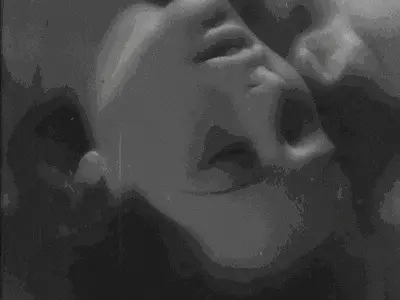 西檬之家k9犬系是什么意思？字母圈新人入圈 一