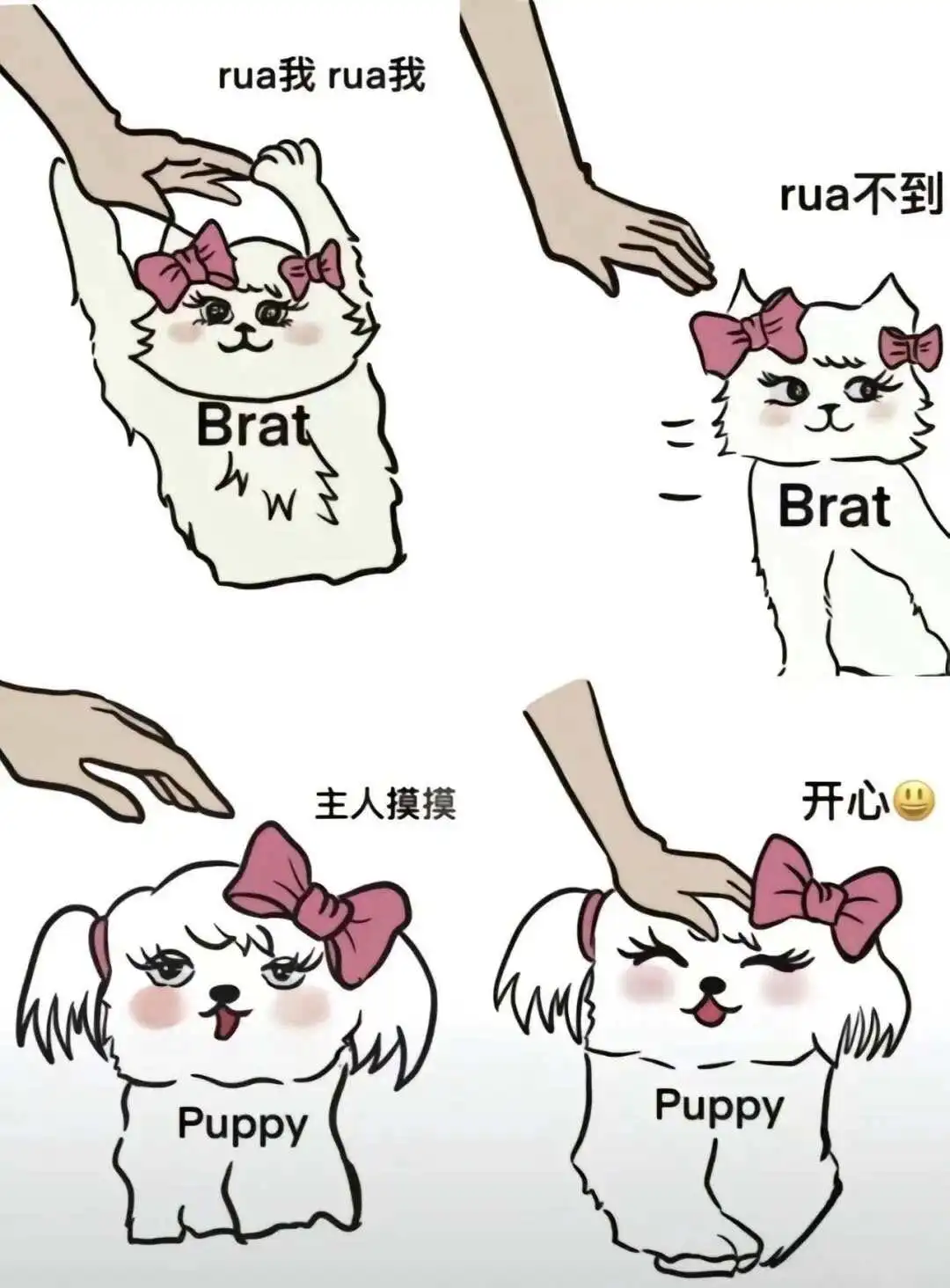 

西檬之家字母圈s属性解读 一