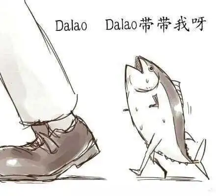 西檬之家K9犬系是什么？字母圈新人入圈 一