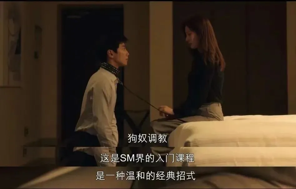 

西檬之家sm亚文化入门指南 一