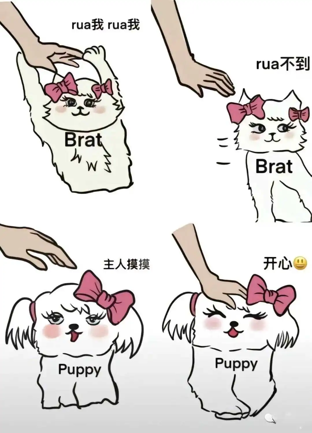西檬之家字母圈M倾向是指什么？ 一