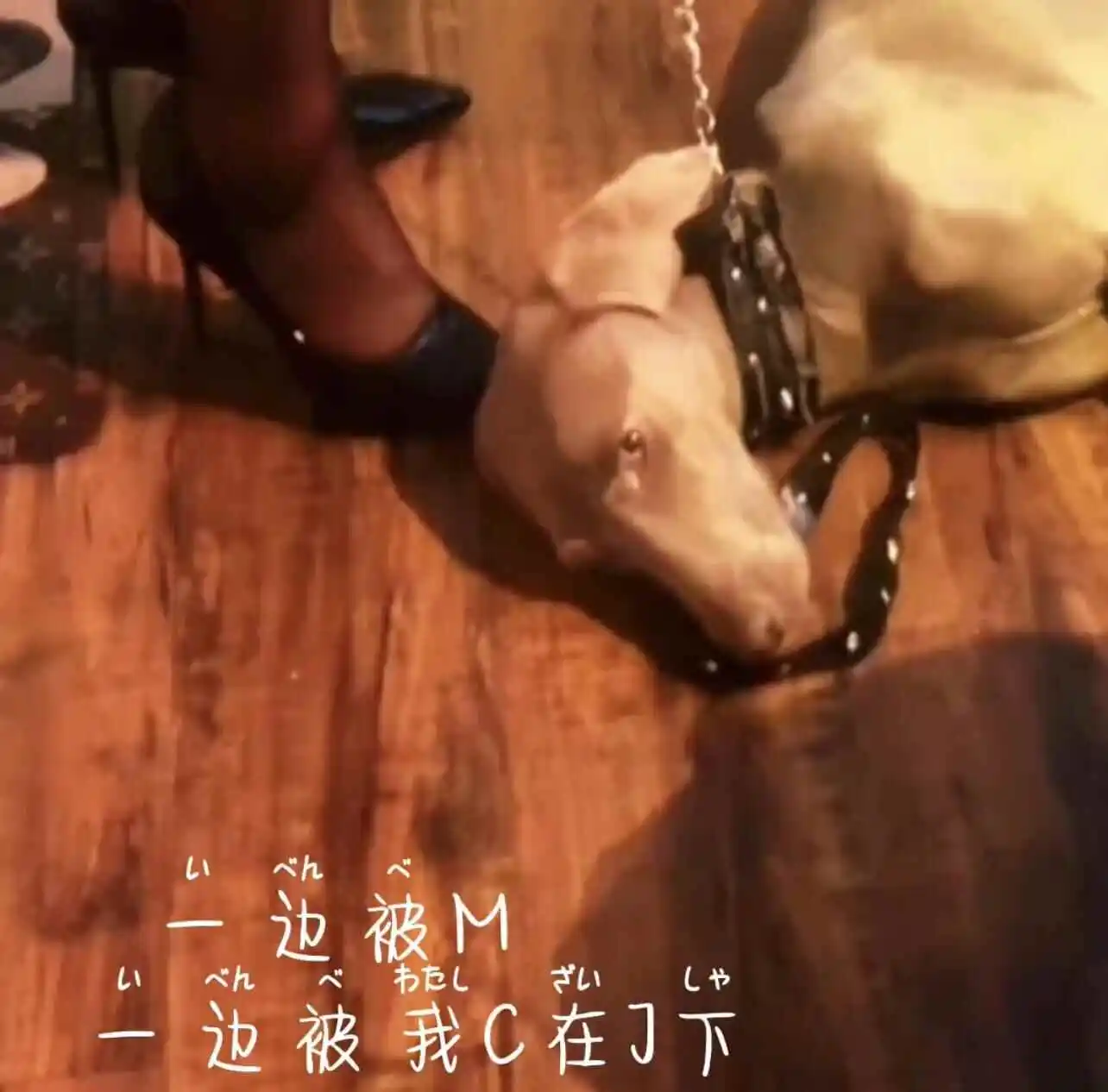 

西檬之家字母圈的Tickle是什么意思？ 一