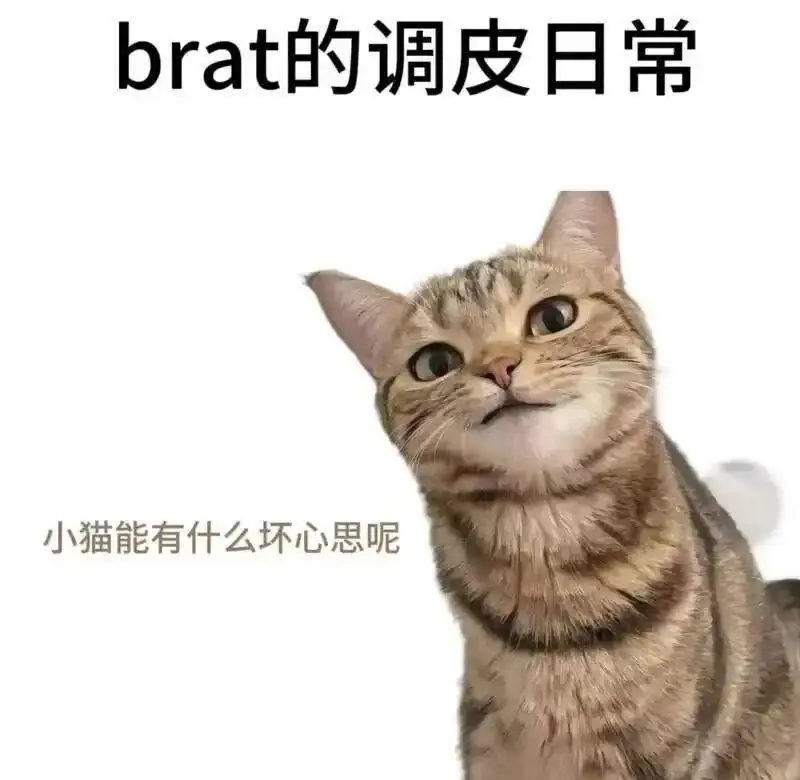 

西檬之家字母圈里的DOM是什么角色？ 一