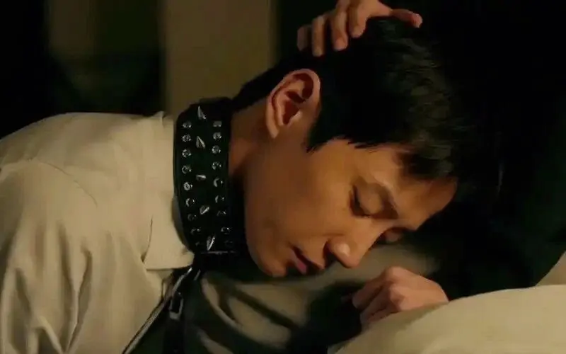 

西檬之家Dom是什么意思？ 一